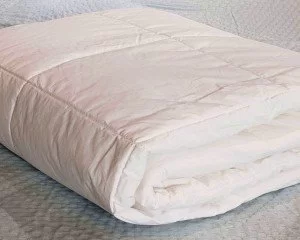 одеяло cotton bio comfort (200 × 220, хлопок, 200 гр/м2., 100% хлопок)